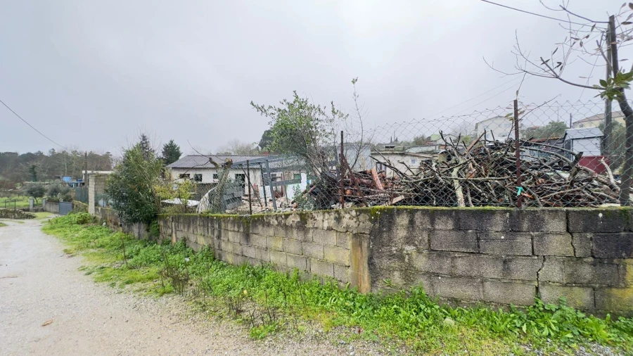 Terreno Agricola ou Rústico para Venda em São João de Lourosa Foto 16