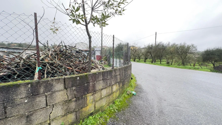 Terreno Agricola ou Rústico para Venda em São João de Lourosa Foto 17