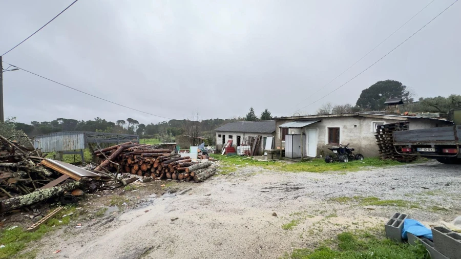 Terreno Agricola ou Rústico para Venda em São João de Lourosa Foto 3