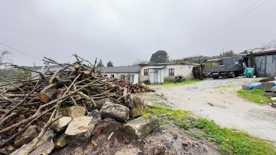 Terreno Agricola ou Rústico para Venda em São João de Lourosa Foto 4