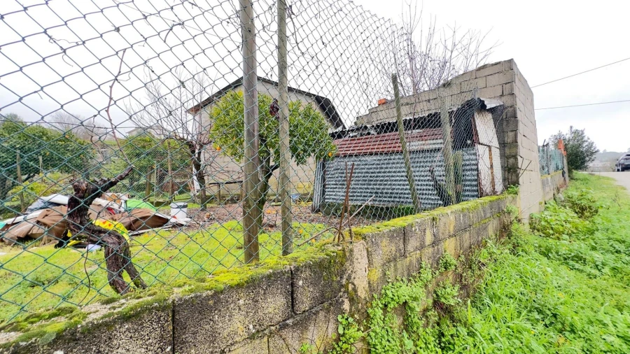 Terreno Agricola ou Rústico para Venda em São João de Lourosa Foto 7