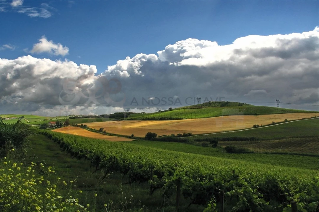 Moradia T3 para Venda em Ribafria e Pereiro de Palhacana Foto 11