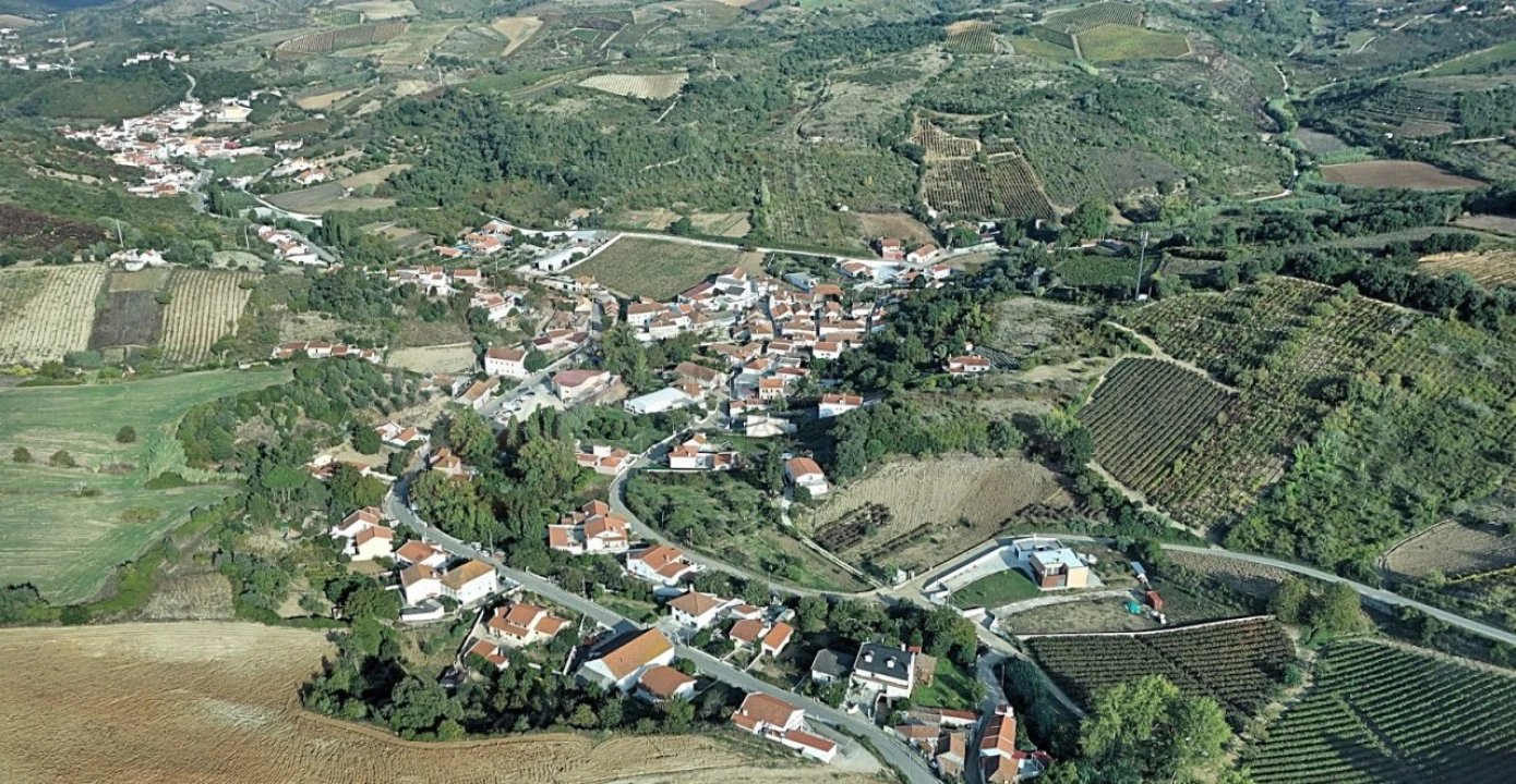 Moradia T3 para Venda em Ribafria e Pereiro de Palhacana Foto 14