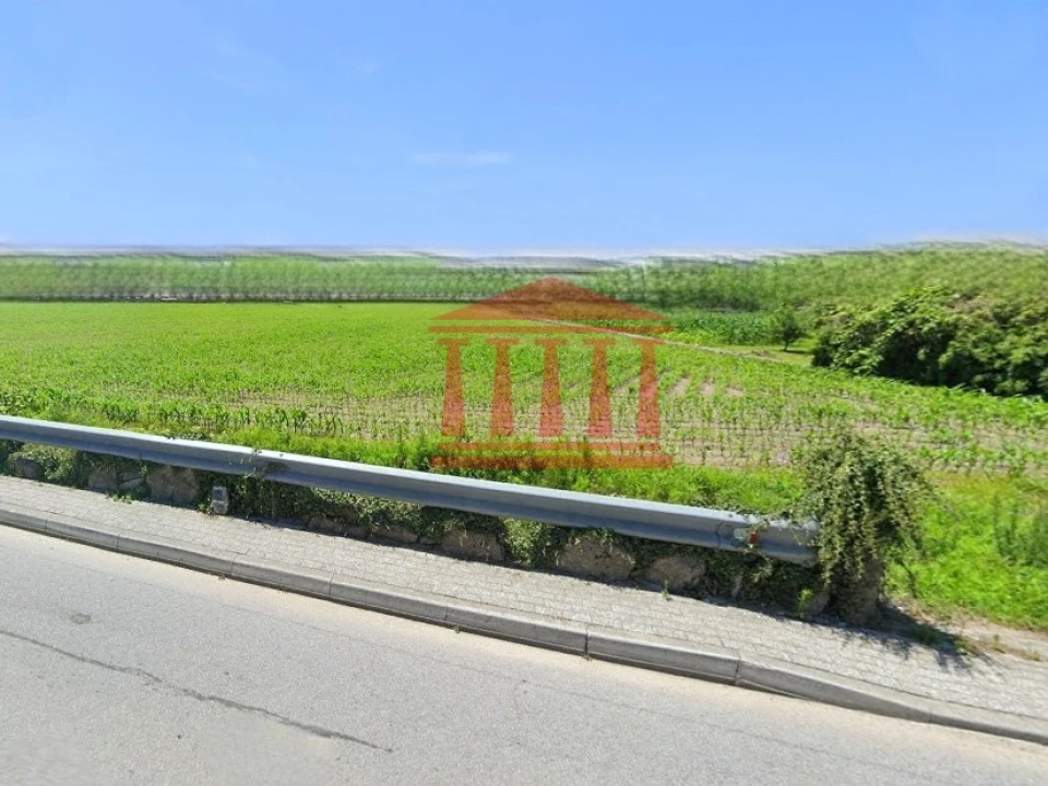 Terreno para Venda em Alvelos Foto 3