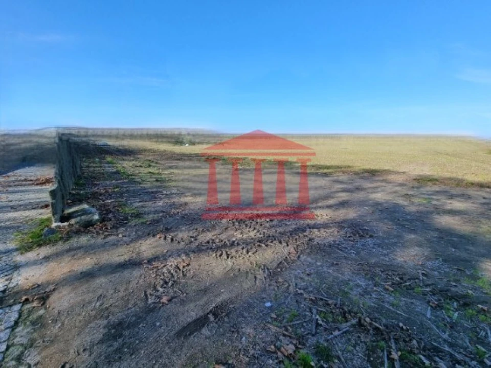 Terreno para Venda em Alvelos Foto 5