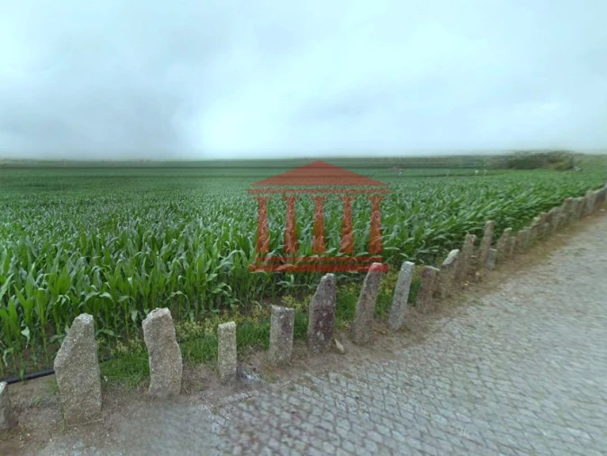 Terreno para Venda em Alvelos Foto 4