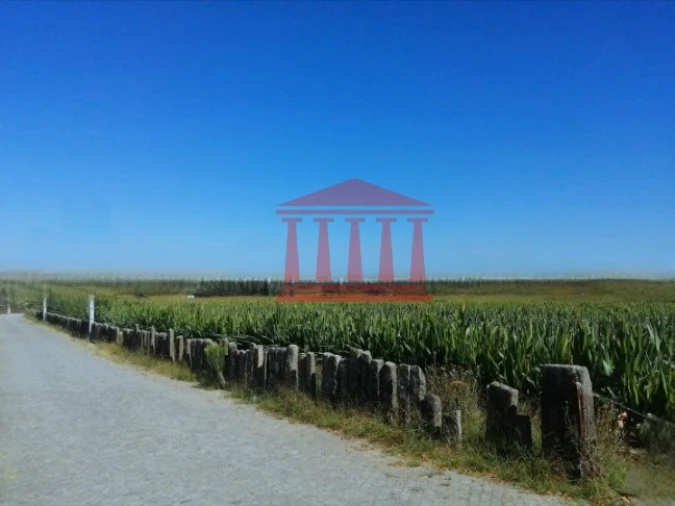 Terreno para Venda em Alvelos Foto 7