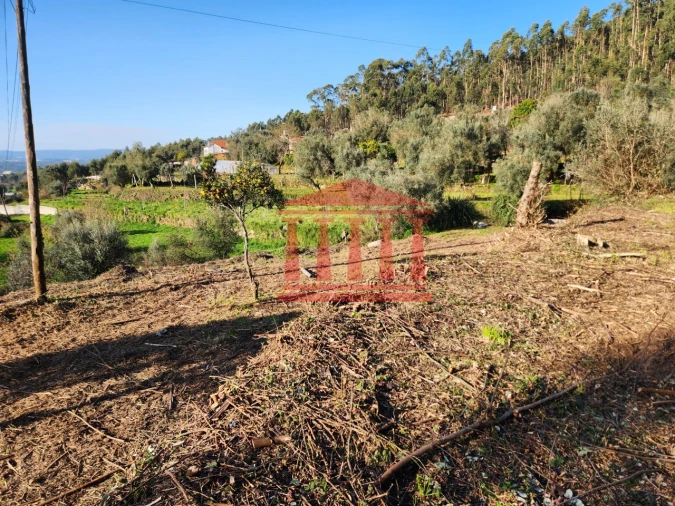 Moradia para Venda em Fragoso Foto 20