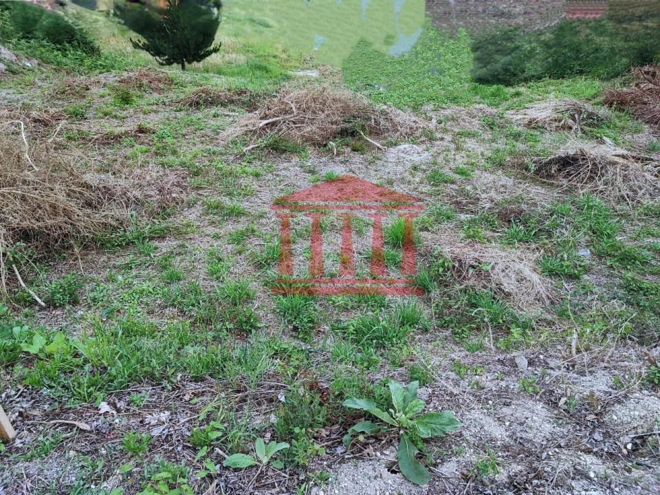 Terreno para Venda em Silveiros e Rio Covo (Santa Eulália) Foto 3