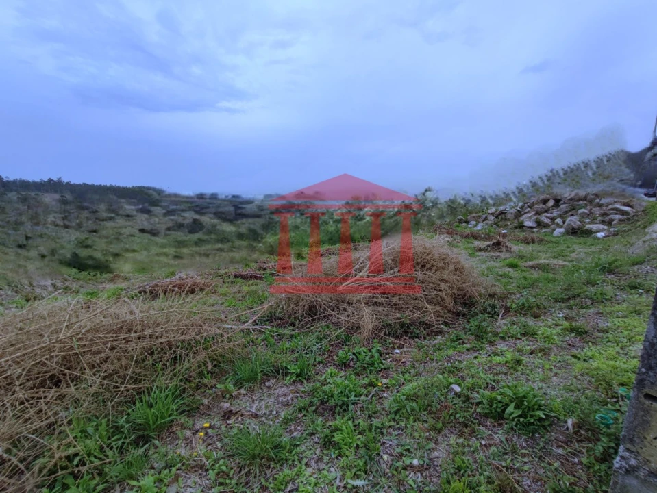 Terreno para Venda em Silveiros e Rio Covo (Santa Eulália) Foto 6