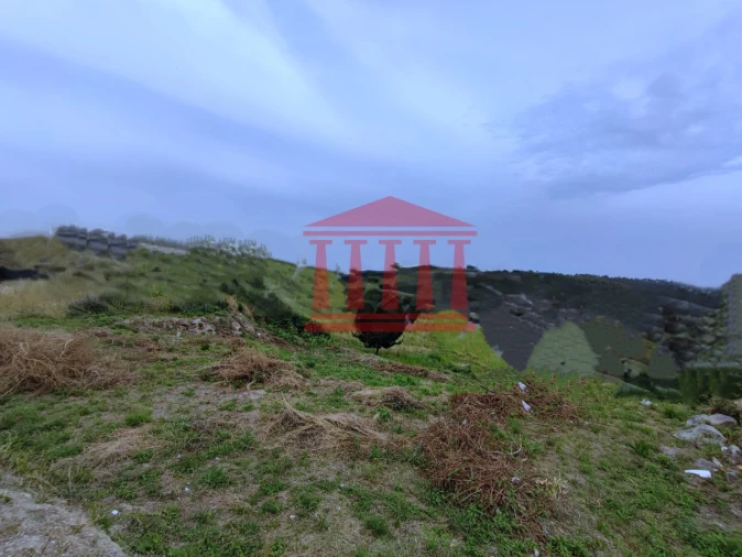 Terreno para Venda em Silveiros e Rio Covo (Santa Eulália) Foto 5