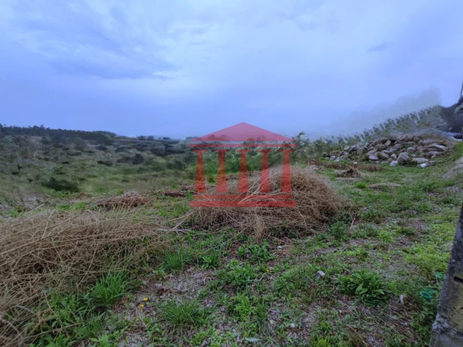 Terreno para Venda em Silveiros e Rio Covo (Santa Eulália) Foto 6