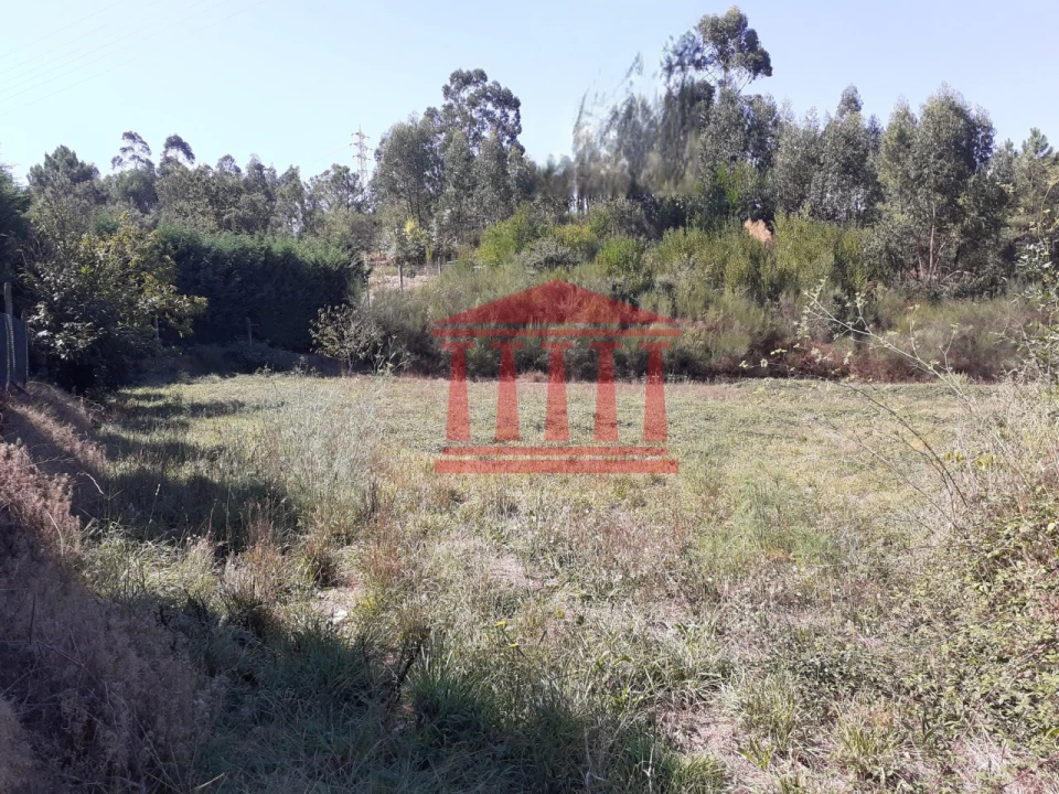 Terreno para Venda em Barcelinhos Foto 5