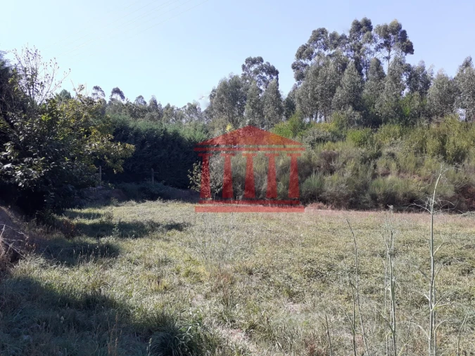 Terreno para Venda em Barcelinhos Foto 3