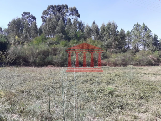 Terreno para Venda em Barcelinhos Foto 4