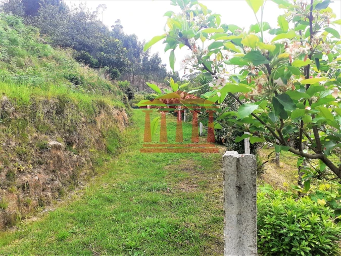 Moradia T3 para Venda em Durrães e Tregosa Foto 25