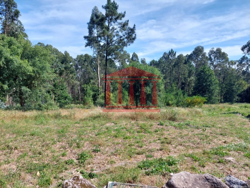 Terreno para Venda em Vila Cova e Feitos Foto 8