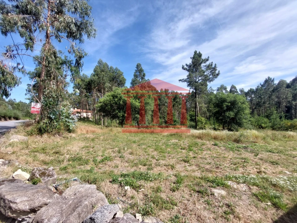 Terreno para Venda em Vila Cova e Feitos Foto 10
