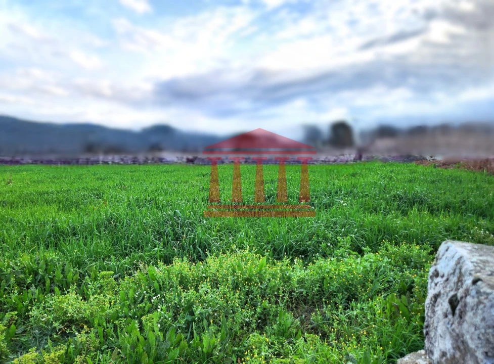 Terreno para Venda em Barroselas e Carvoeiro Foto 20