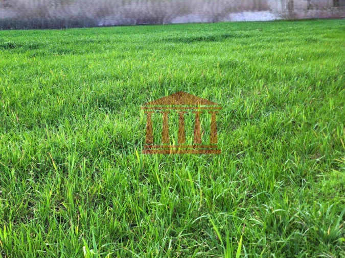 Terreno para Venda em Barroselas e Carvoeiro Foto 21