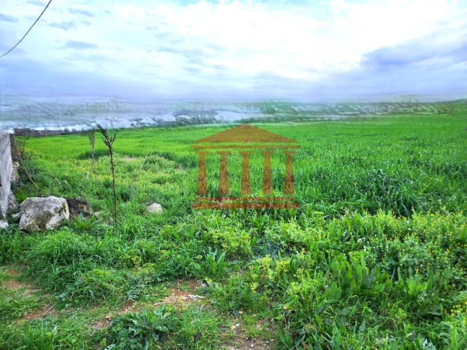 Terreno para Venda em Barroselas e Carvoeiro Foto 23