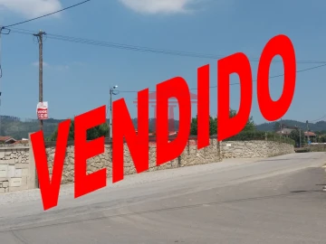 Terreno para Venda em Alvito (São Pedro e São Martinho) e Couto