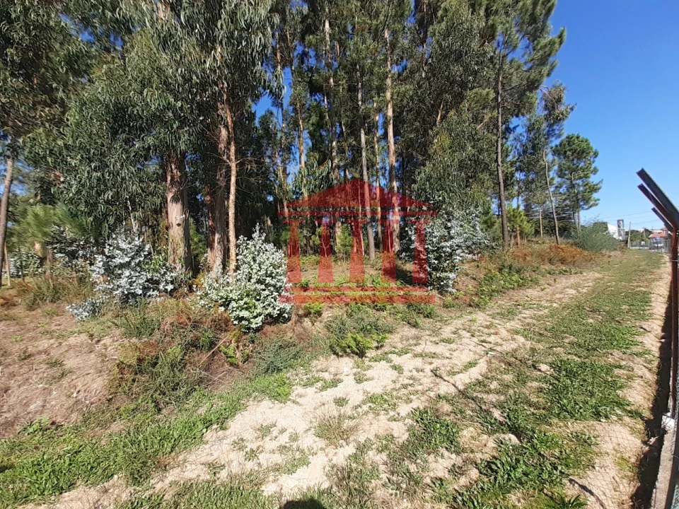 Terreno para Venda em Varzea Foto 4