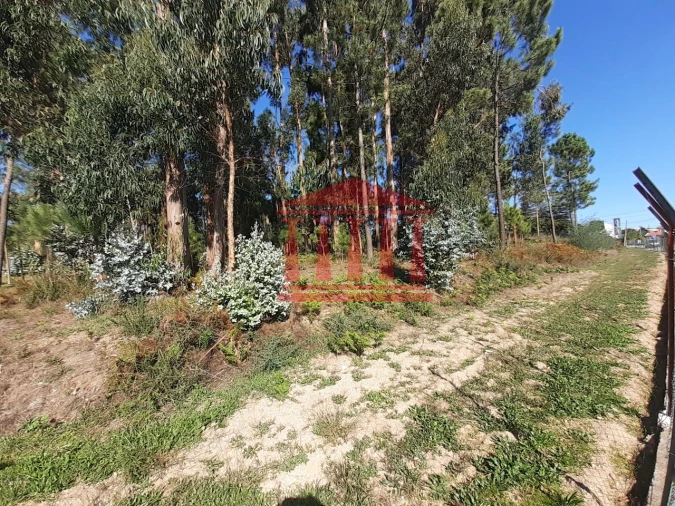 Terreno para Venda em Varzea Foto 4