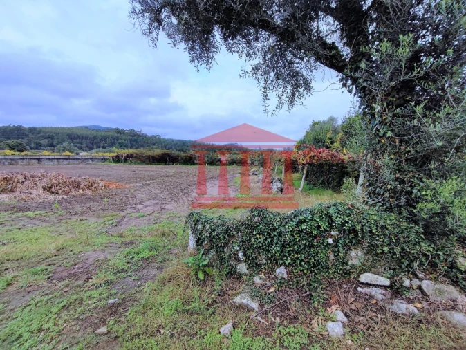 Terreno para Venda em Creixomil e Mariz Foto 7