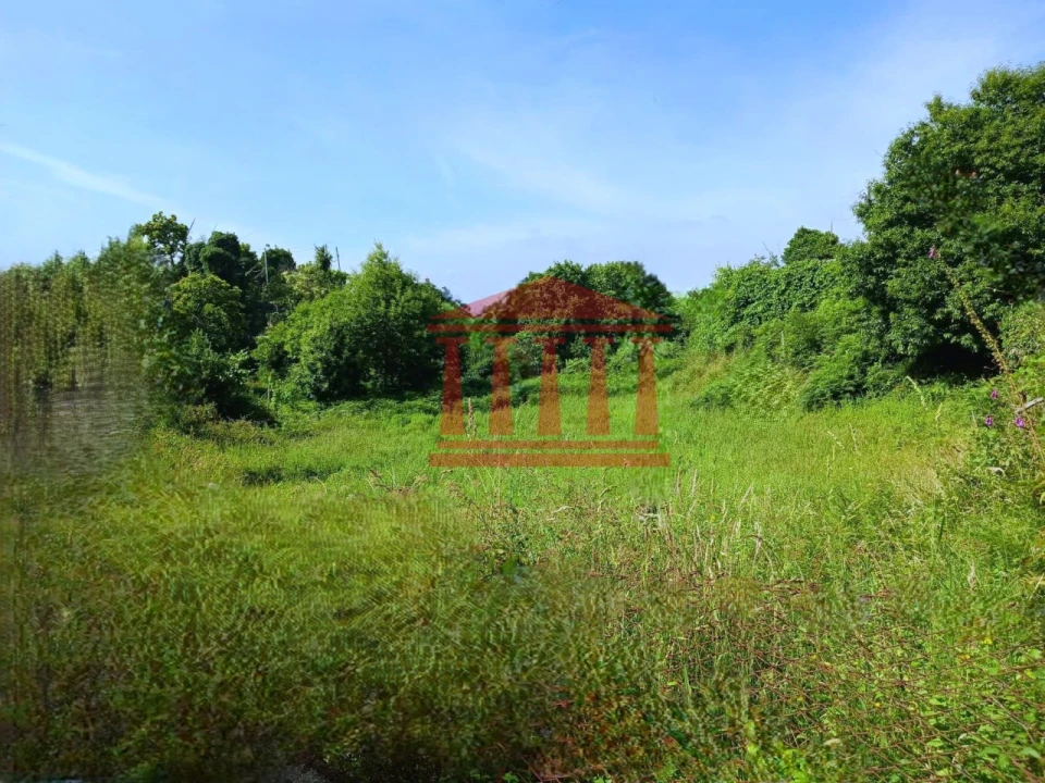 Terreno para Venda em Areias de Vilar e Encourados Foto 2