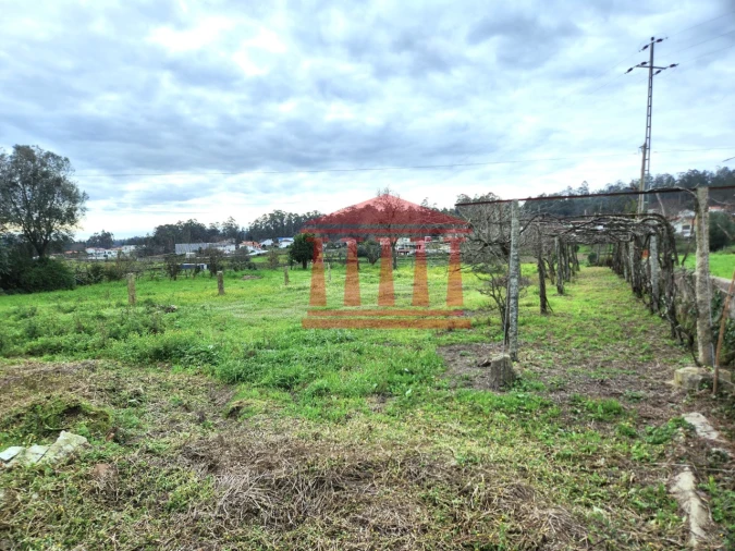 Moradia para Venda em Alheira e Igreja Nova Foto 13