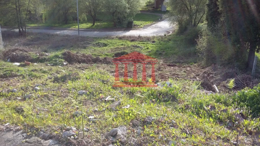 Terreno para Venda em Lama Foto 3