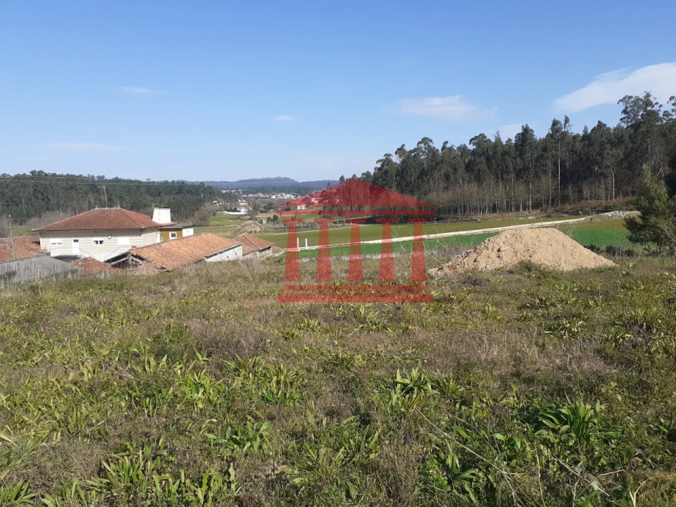 Terreno para Venda em Galegos (Santa Maria) Foto 9