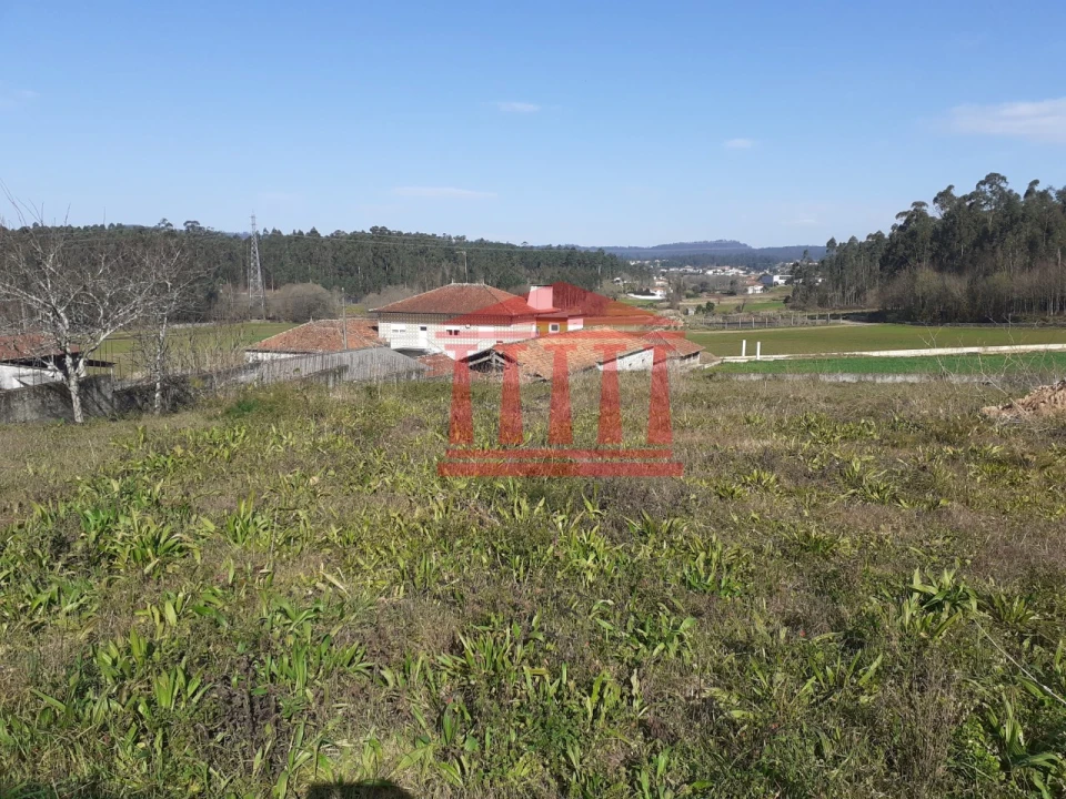 Terreno para Venda em Galegos (Santa Maria) Foto 5