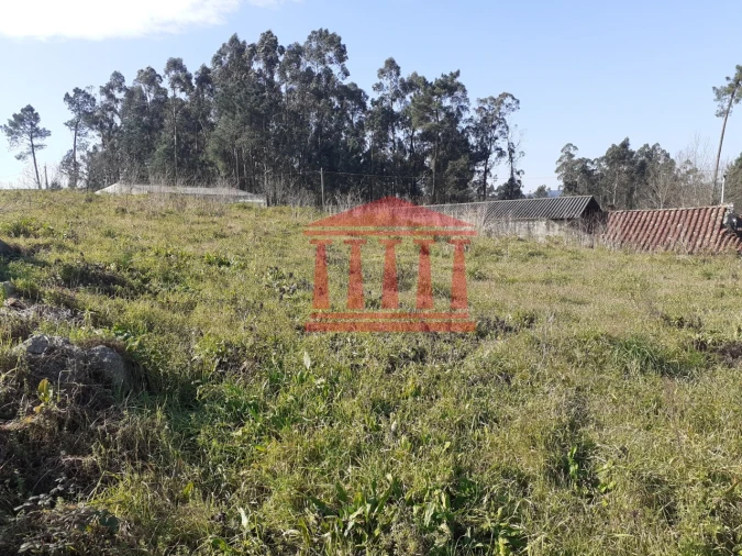 Terreno para Venda em Galegos (Santa Maria) Foto 7