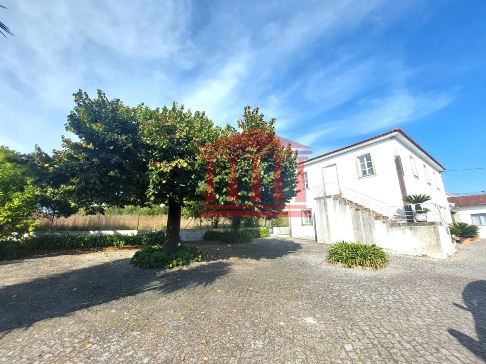 Quinta para Venda em Areias Foto 7