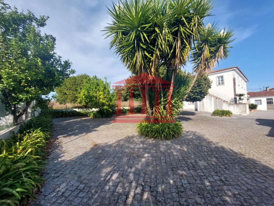 Quinta para Venda em Areias Foto 9