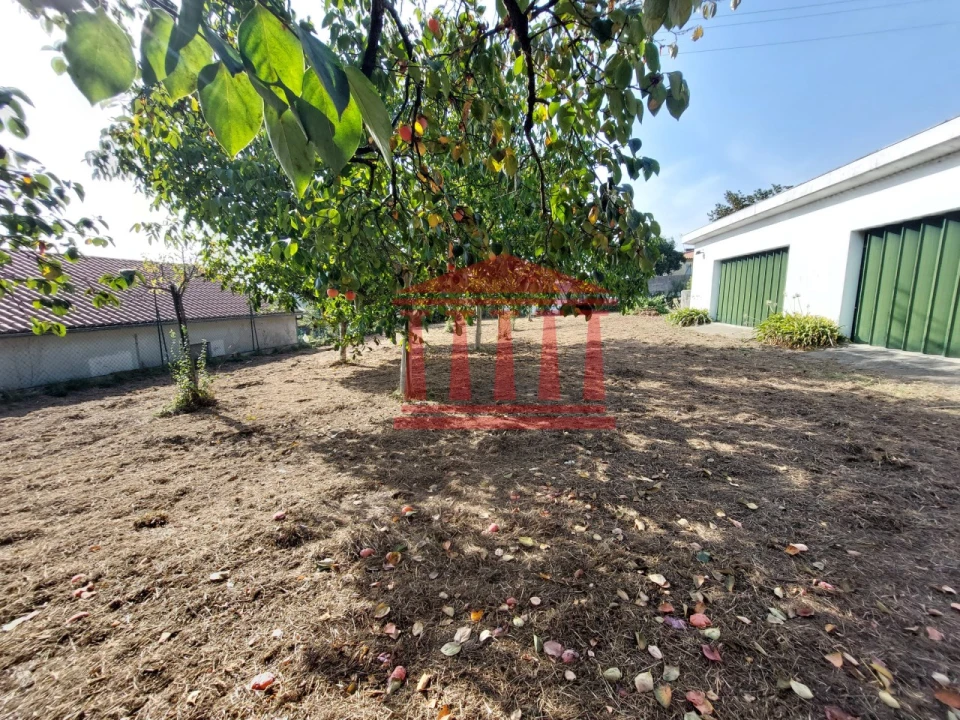 Quinta para Venda em Areias Foto 15