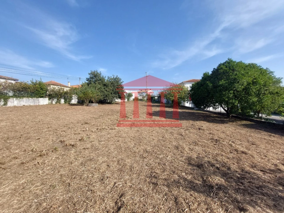 Quinta para Venda em Areias Foto 17