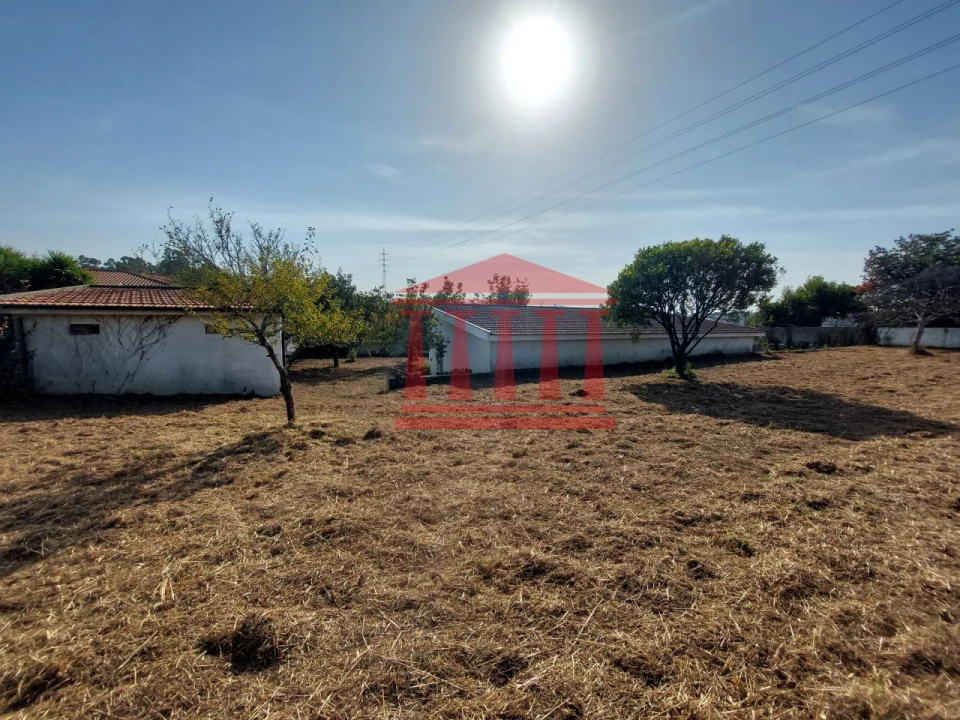 Quinta para Venda em Areias Foto 18