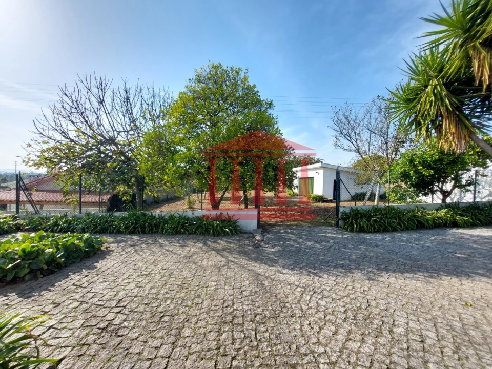 Quinta para Venda em Areias Foto 14