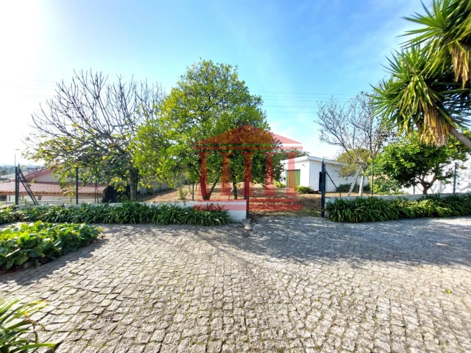 Quinta para Venda em Areias Foto 26