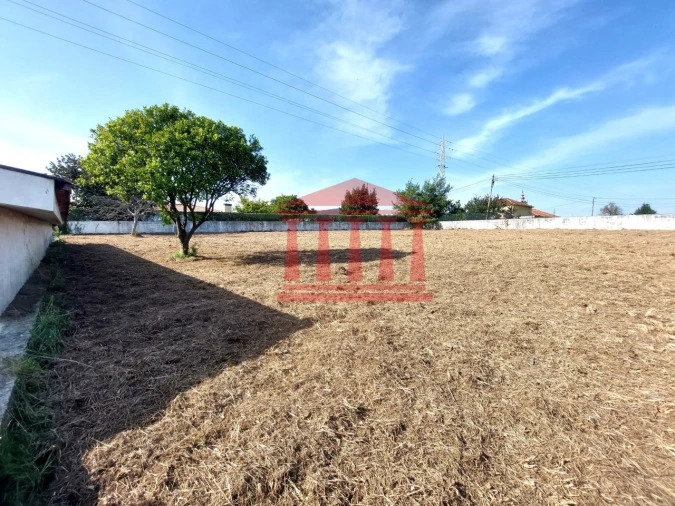 Quinta para Venda em Areias Foto 28