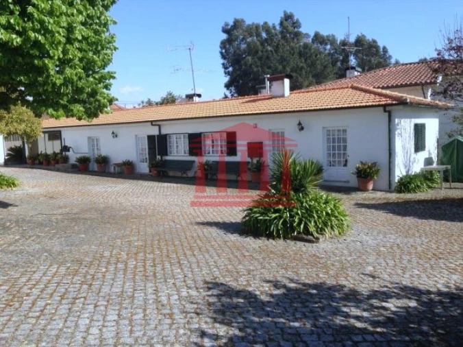 Quinta para Venda em Areias Foto 3