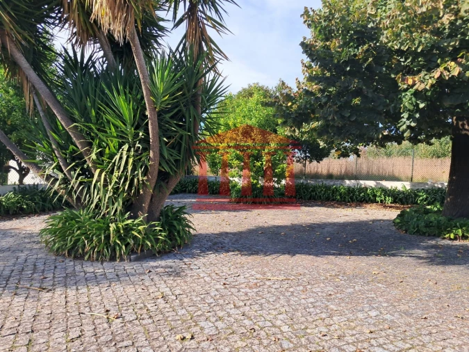 Quinta para Venda em Areias Foto 13