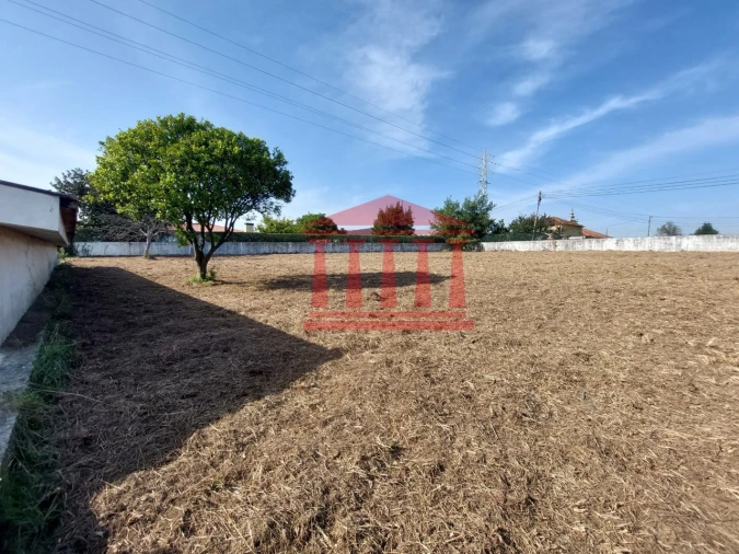 Quinta para Venda em Areias Foto 16