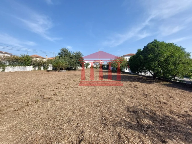 Quinta para Venda em Areias Foto 17