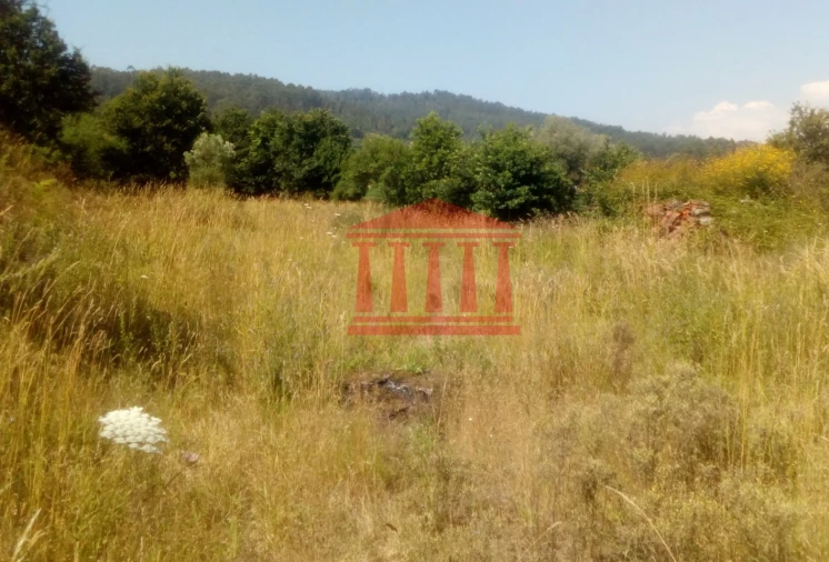 Terreno para Venda em Panque Foto 7