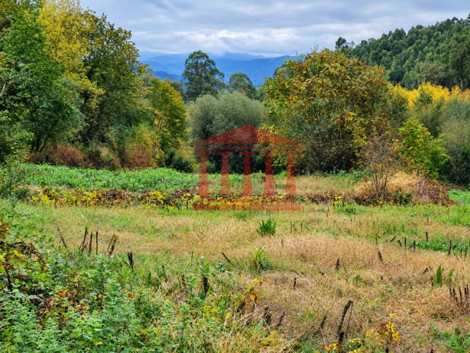 Terreno Agricola ou Rústico para Venda em Parada de Gatim Foto 3