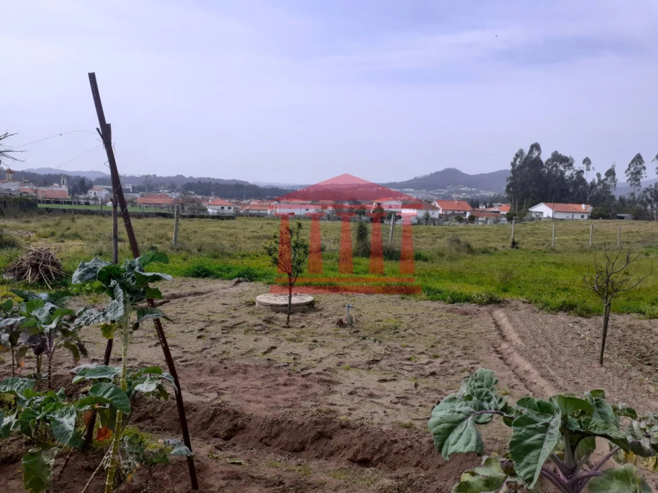 Terreno para Venda em Carvalhal Foto 9